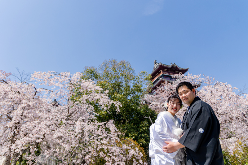 桜の上にそびえる天守閣