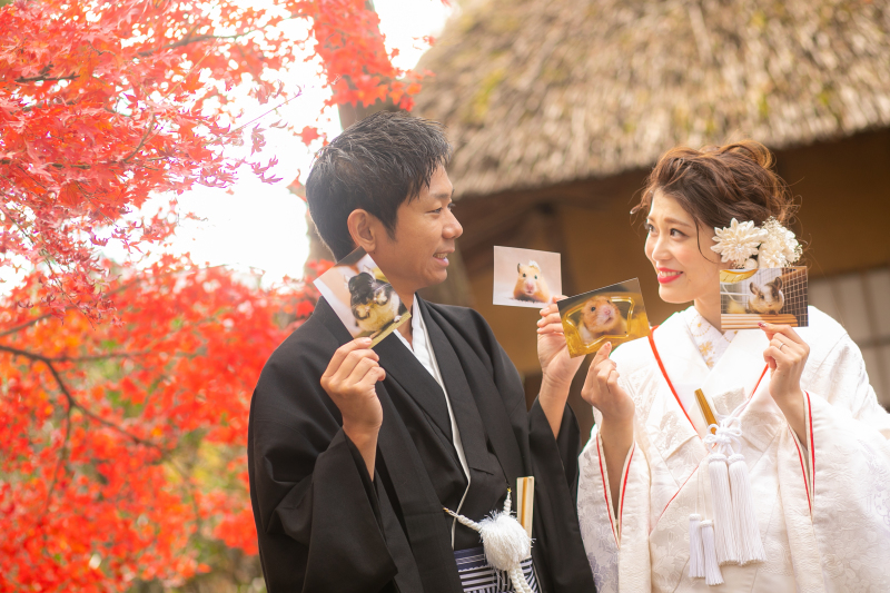 ペットのハムちゃんと