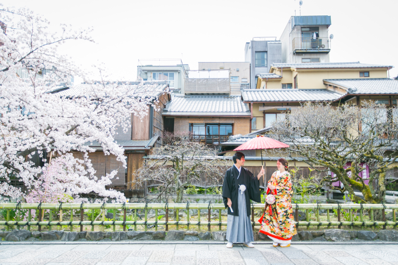 あざらし和室と祇園桜ロケ