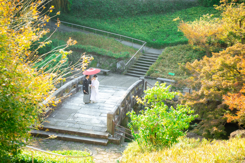 上からのショット