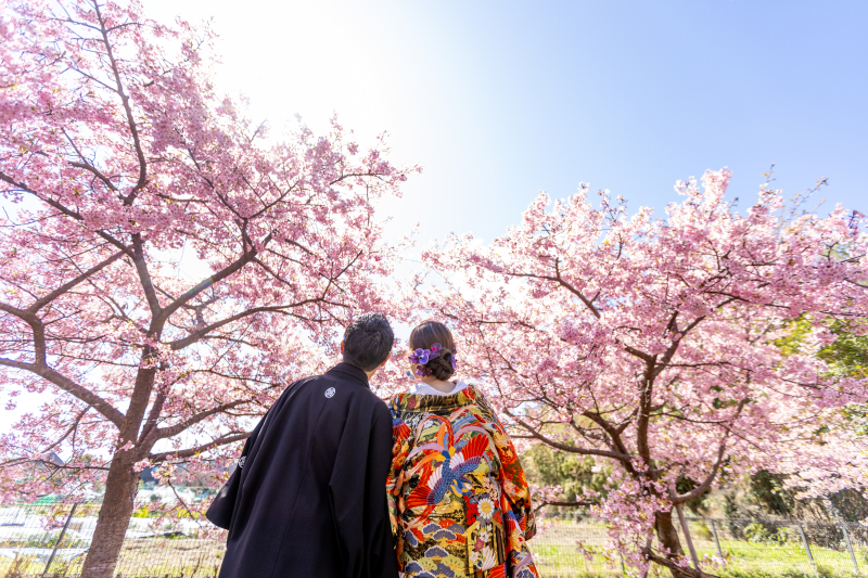 見上げた先に