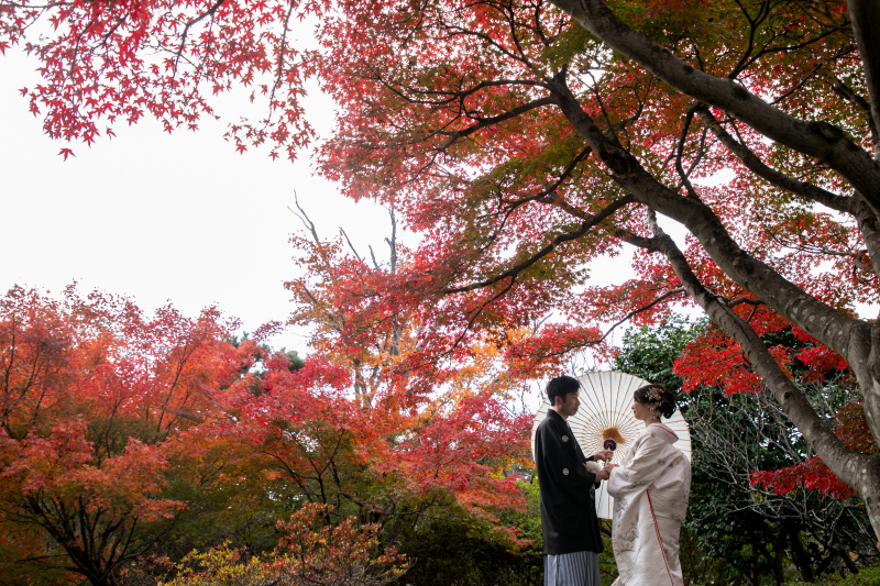 コントラストが美しい