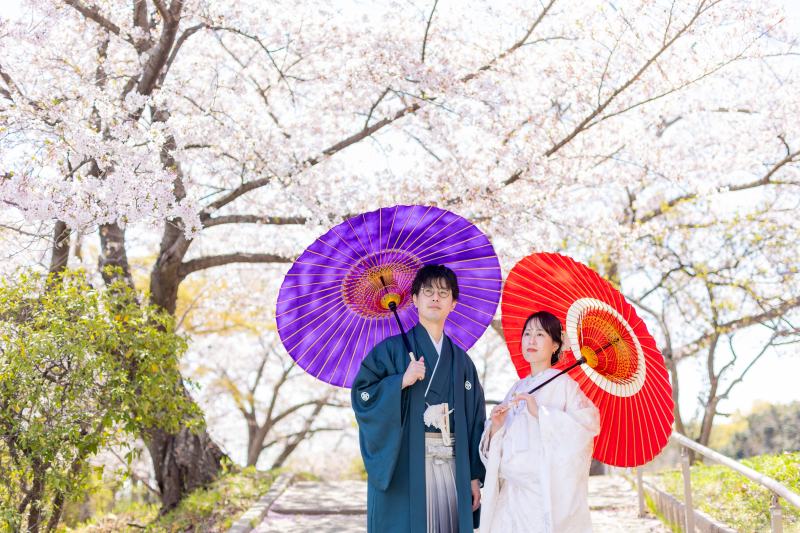 春の京都。ロケ地2ヵ所めぐるプラン