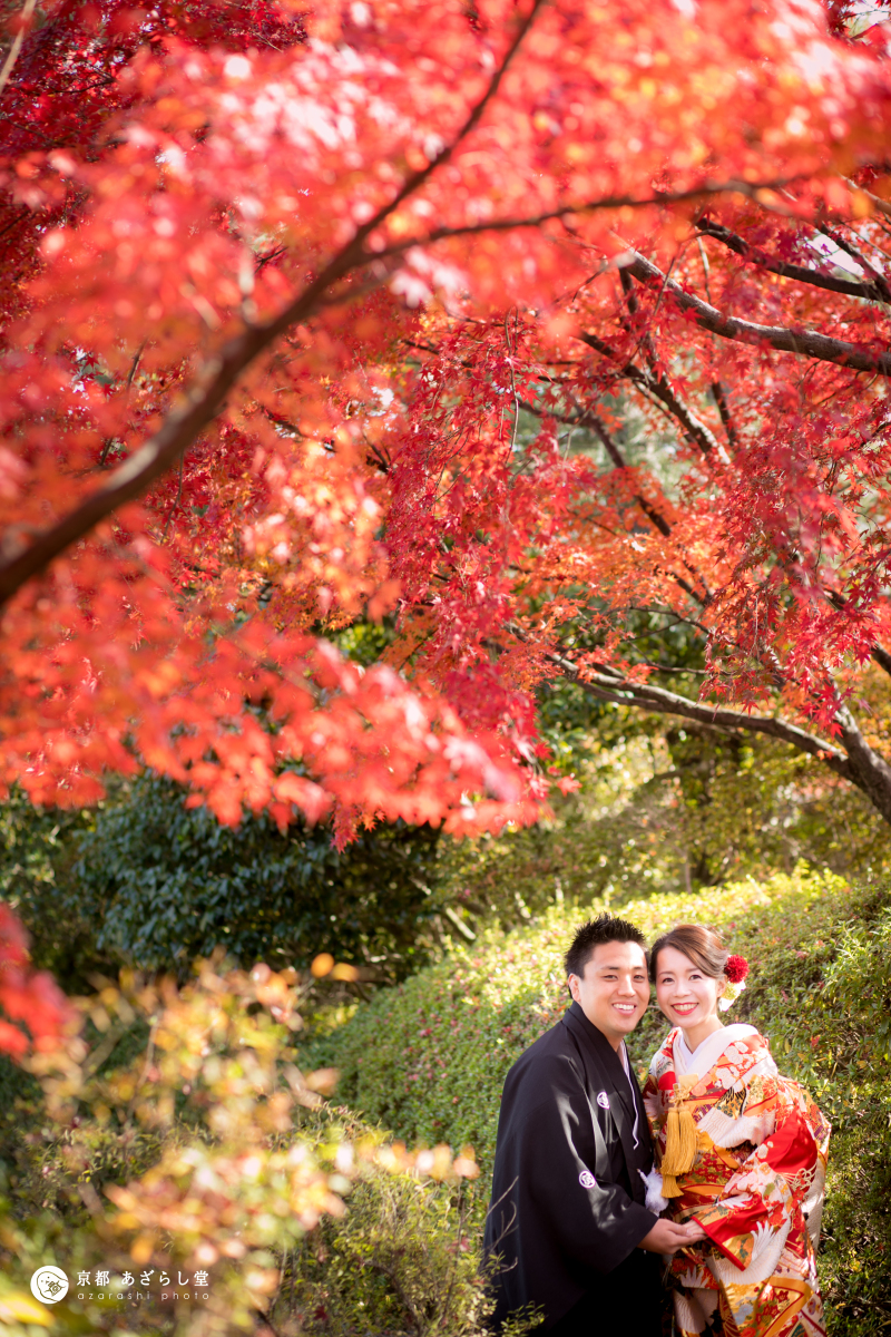 飛び込んできた紅葉