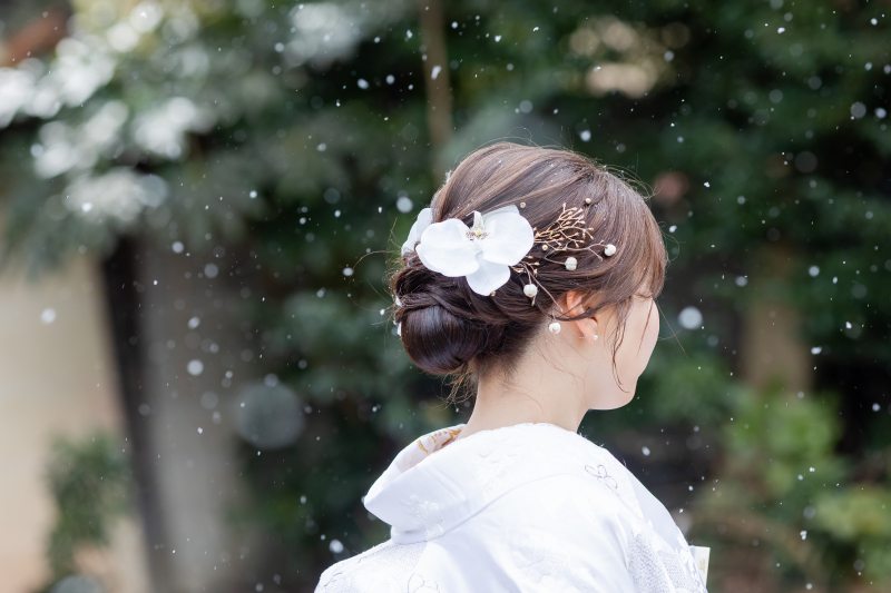 ちらついてきた