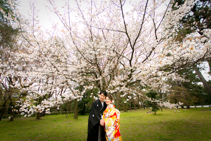 広角で撮っても