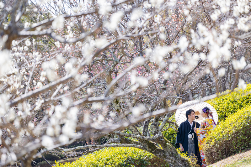 滋賀の公園にて