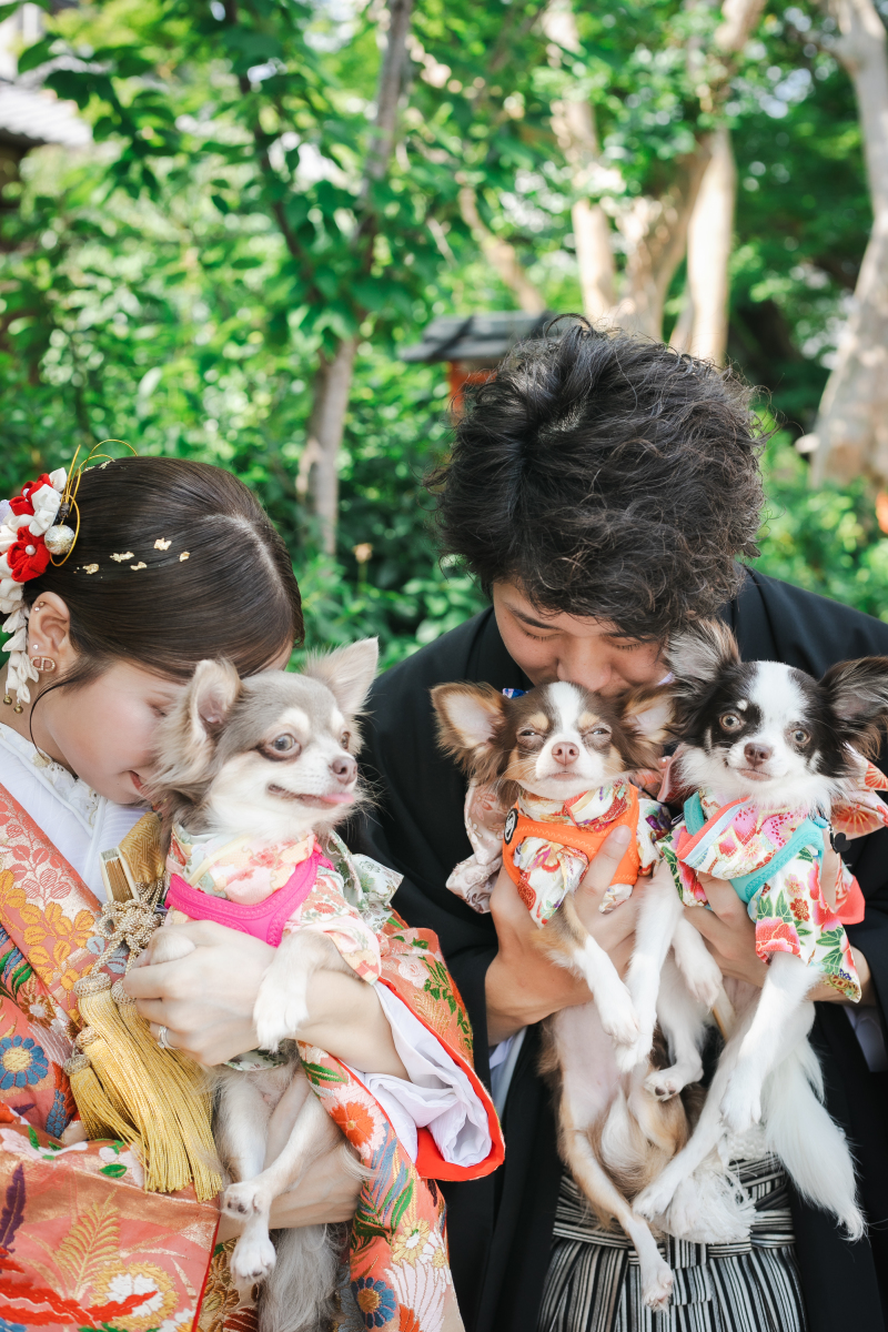 かわいいがあふれる