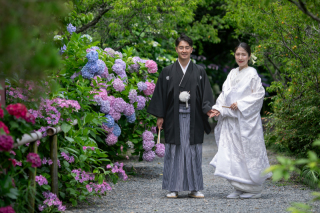 花ざかりの梅宮大社