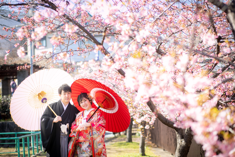 早咲きの桜に囲まれて1