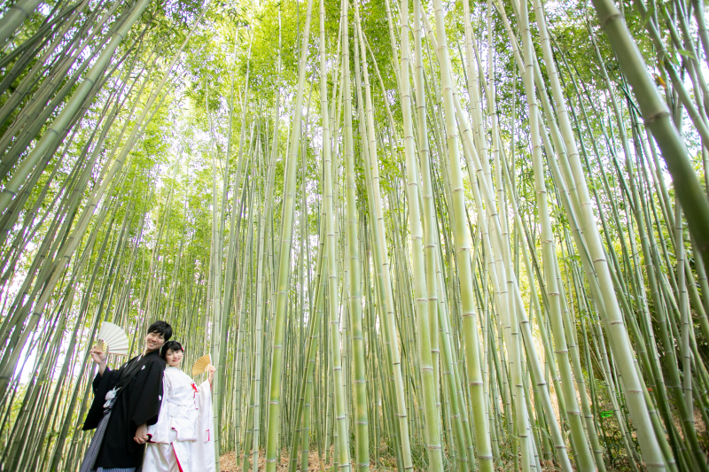 近くの竹林へ移動