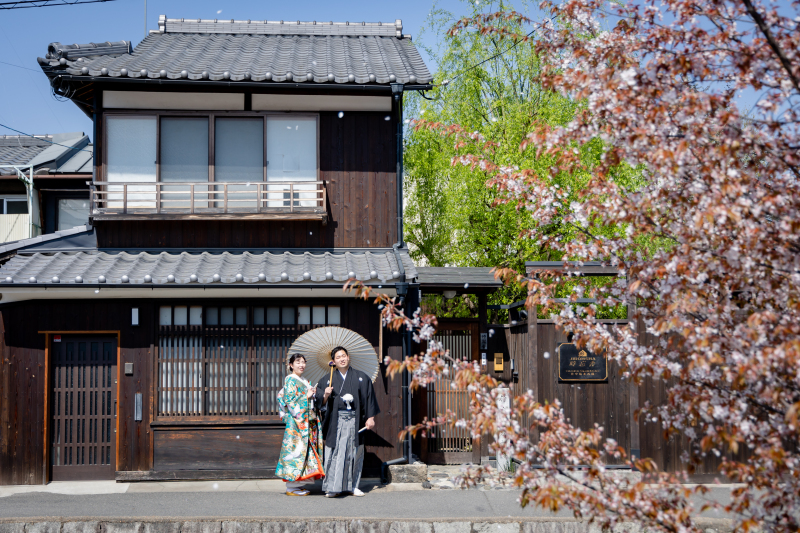 葉桜も趣きあり
