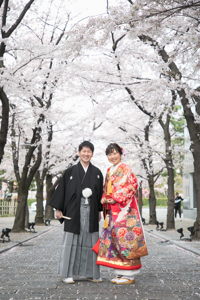 桜ええ感じで咲いてます