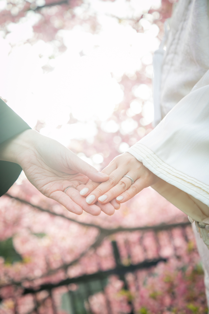 イメージカットもばっちり