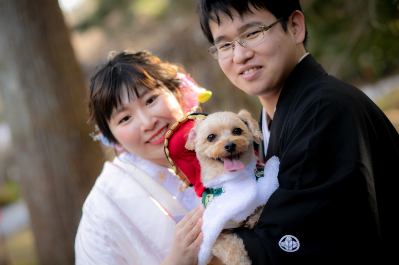 待ってたワンチャンとも