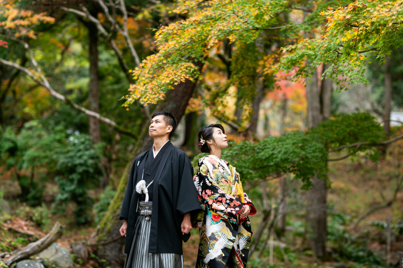 しっとり感のある写真