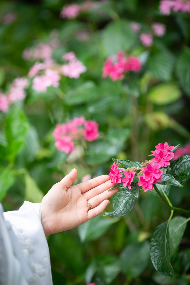 お手元ショット