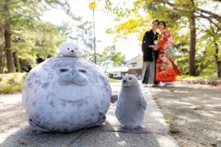 あざらしでつながるご縁！