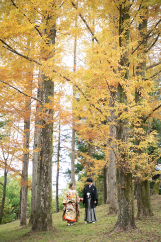 秋も深まってきます