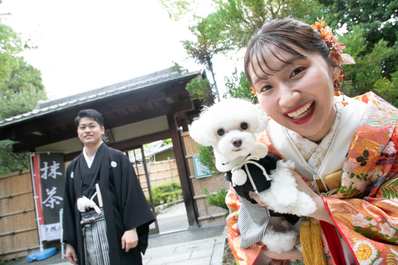 真夏のワンちゃん撮影
