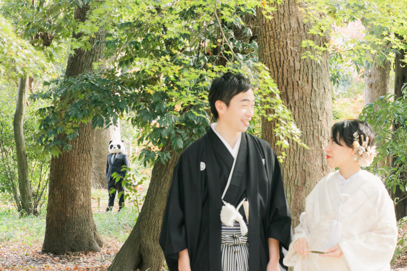 森に住む妖精(パンダ)