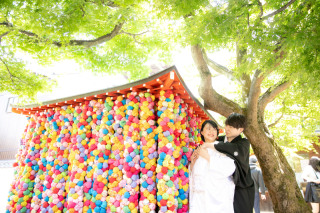 京都と琵琶湖プラン＋あざらし和室