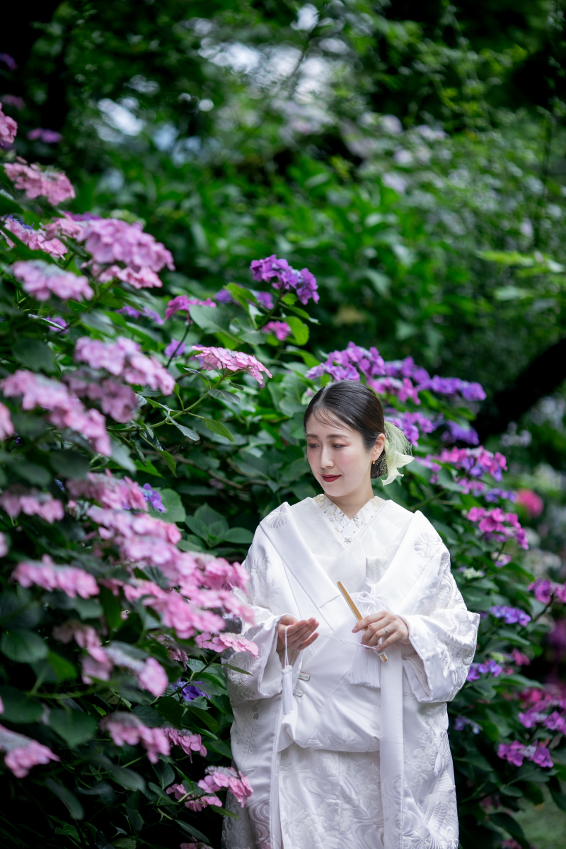 紫陽花にかこまれて