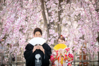 嵐山で桜撮影会