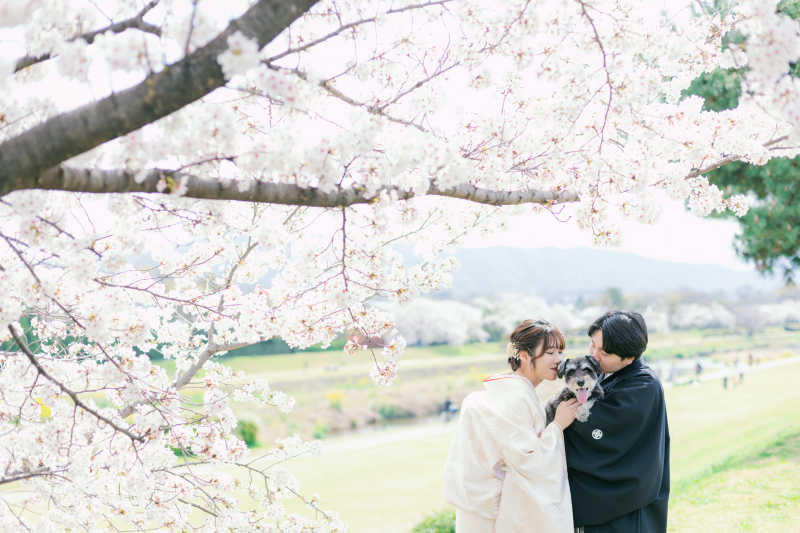 白無垢に変えて