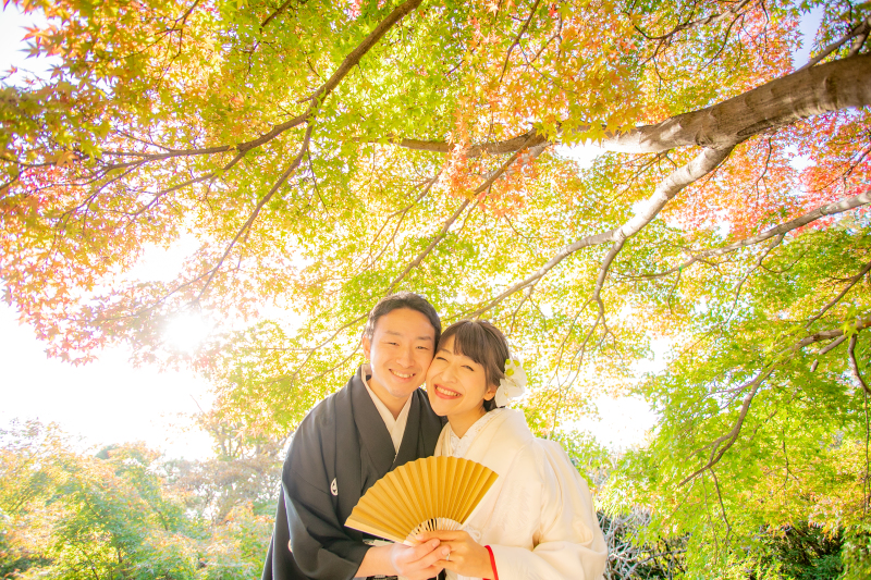 もみじグラデーション