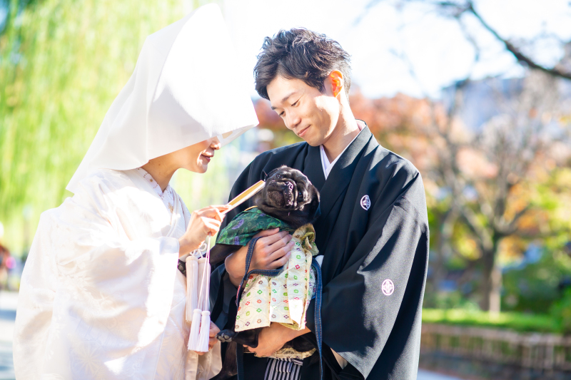 ツンツンしてます