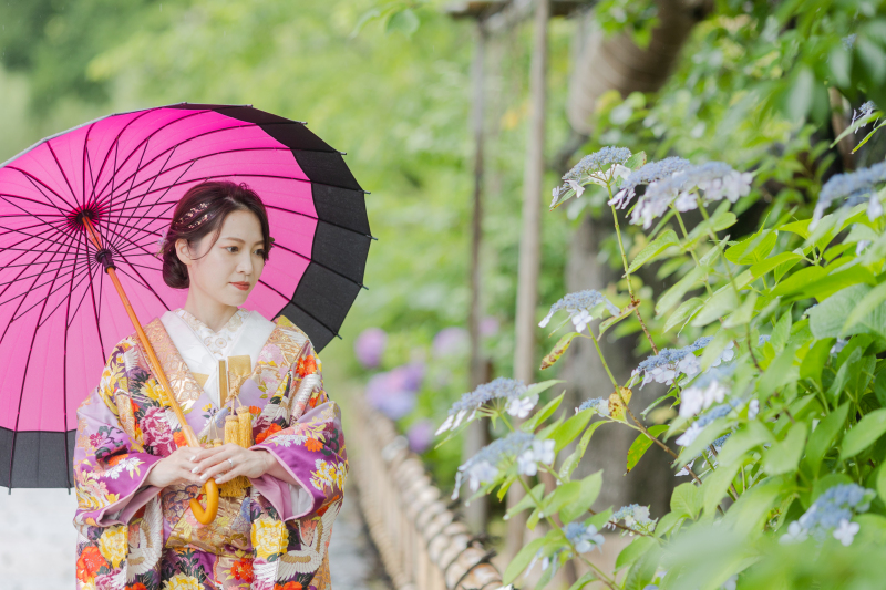 あじさいが咲いていました