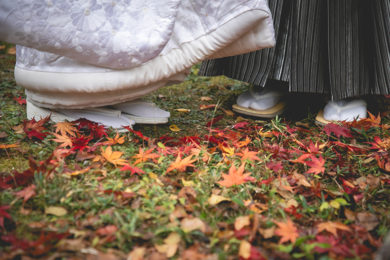 この時期だから