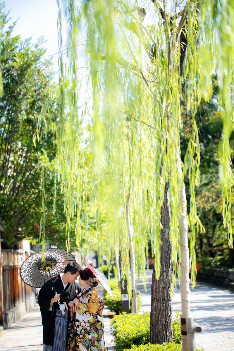 やなぎの並木道