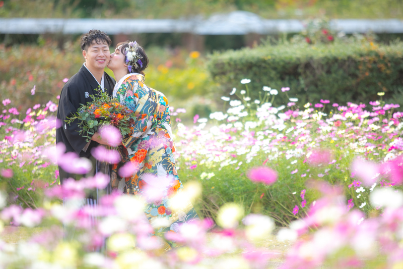 秋桜綺麗でした