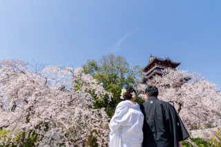 桃山城にも春がきた！