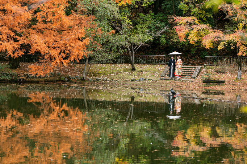 鏡のような水面