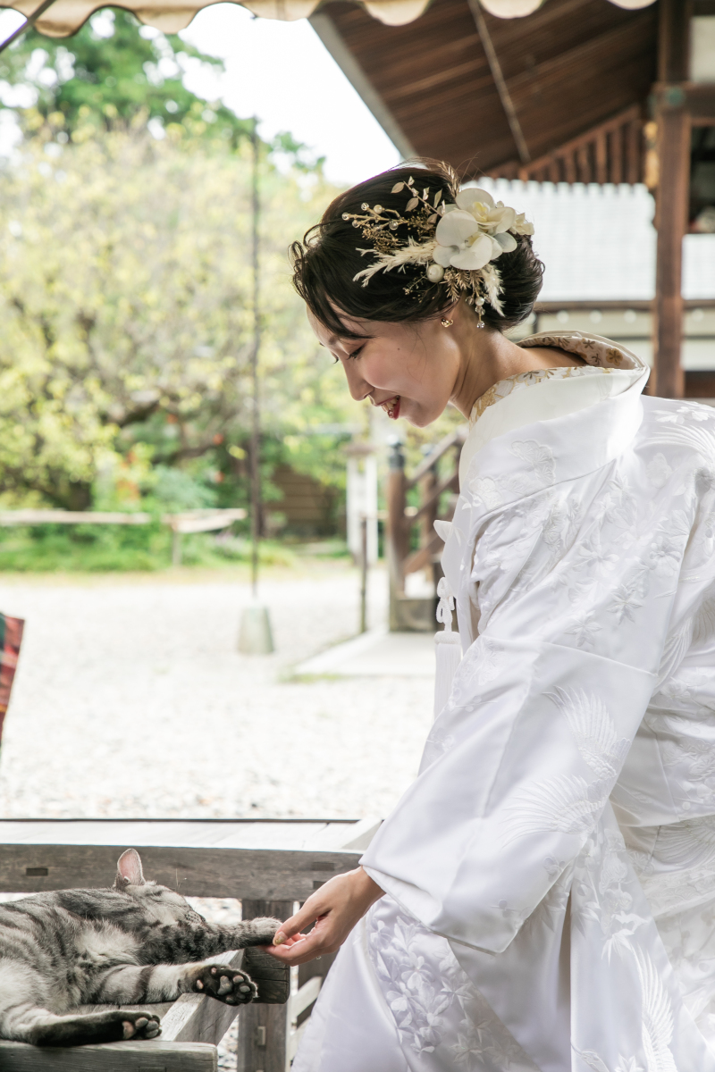 猫ちゃんと握手