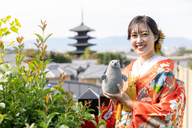 あざらしと八坂の塔
