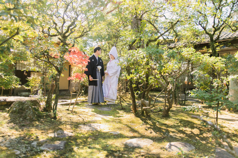 苔の庭が決め手!