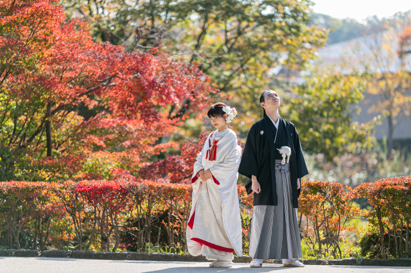 紅葉に白無垢が映えます