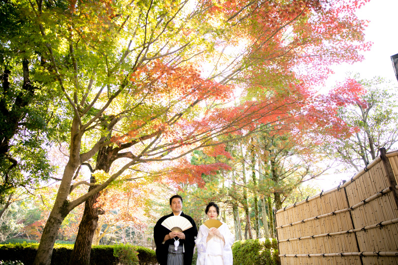 素晴らしいグラデーション