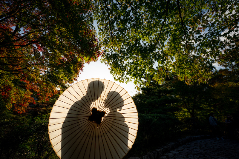 シルエット写真