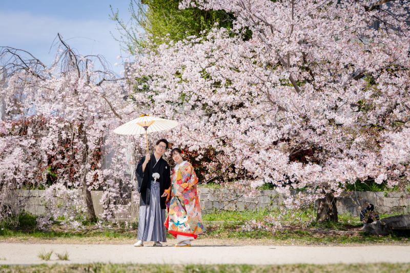 しだれ桜だけじゃないんです