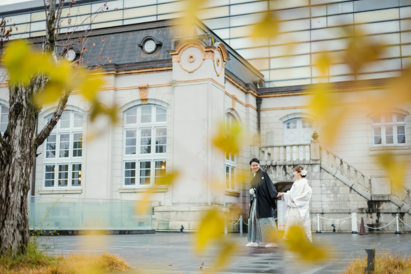 イチョウの間から
