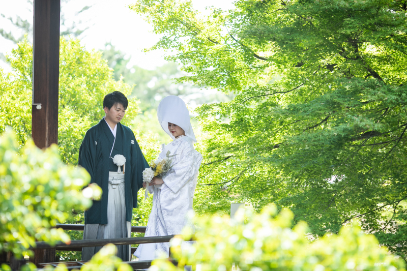 青もみじに見守られて