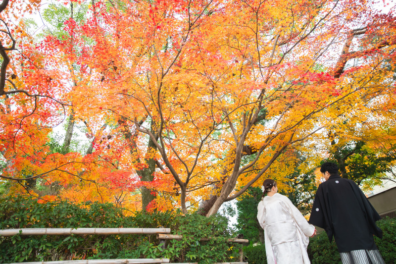 どこを切り取っても