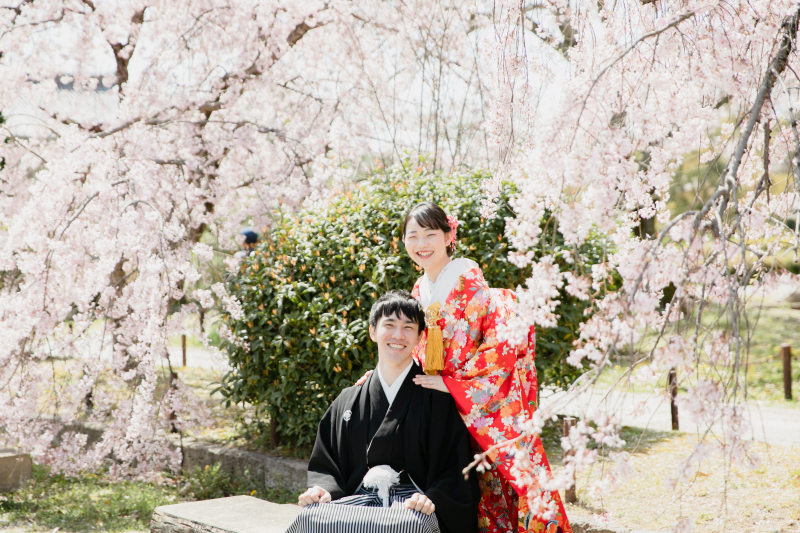 祇園の桜と公園の桜