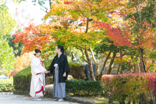 紅葉が色づいてきました