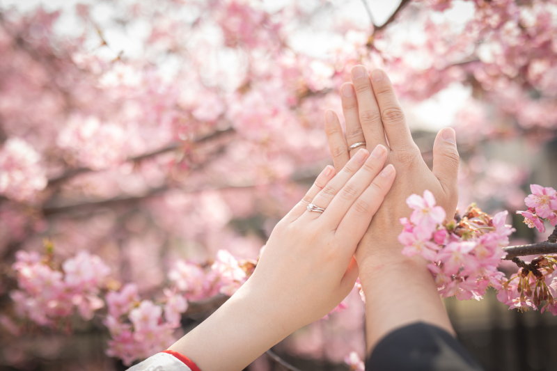 ピンクが濃い桜